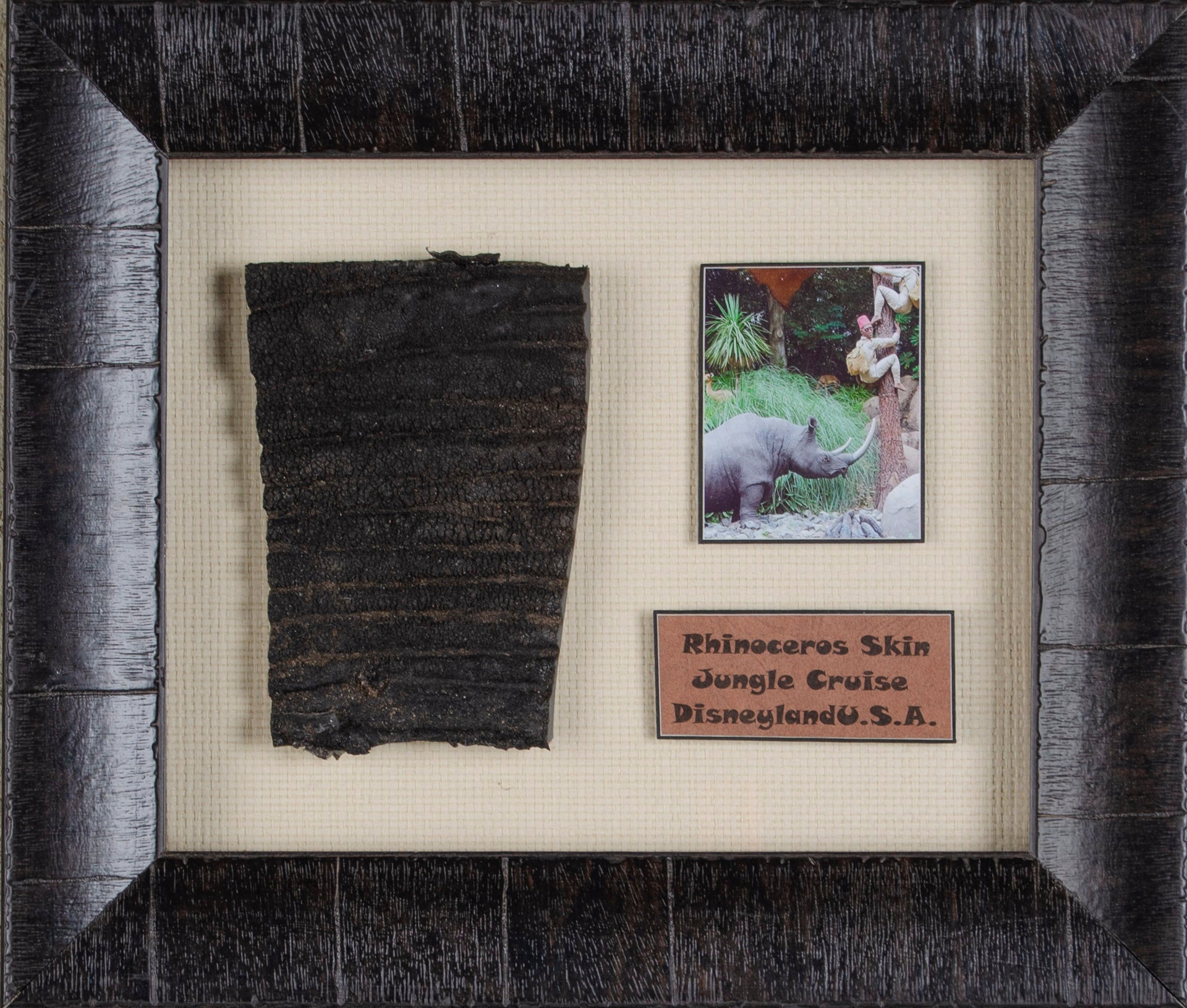 Rhinoceros Skin from the Jungle Cruise Attraction in Disneyland